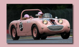 Donna Mae Mims ~ First woman SCCA National Champion 1963