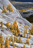 Tioga Pass Road in Infrared