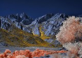 Mt. Whitney, California