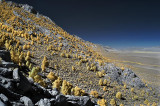 Eastern Sierras