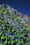 Eastern Sierras