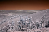 Northeast view.