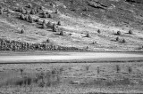 Mann Lake.