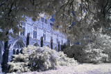 Duke University