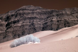 Eureka Dunes in the northern part of the park.