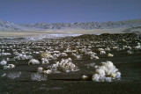 The Valley as seen from upon an alluvial fan.
