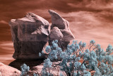 Devil's Garden, Utah