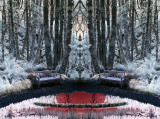 Reflecting pool