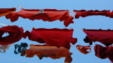 Washday shirts