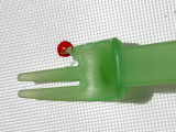 Bleeding  fork