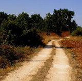 Path