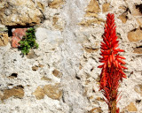 Noli - Liguria - Italy