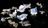 W plastic