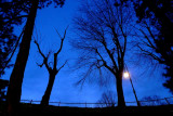 StreetLights