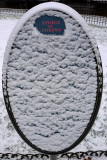Turin & Snow