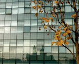 Urban reflection