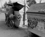Action between the garbage