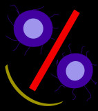 Digital face