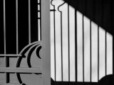 Straight lines  B&W