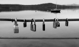 Locks of Love