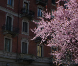 Spring 2010
