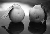 Two  pears
