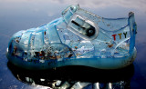 Plastic shoe