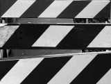 Lines b&w