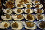 The market for truffles - Alba - Italy  02-12-07