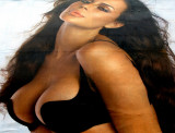 Advertising bra