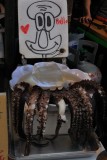 Feb 18  Poor Squidward....