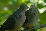 Apr 24....how do I love thee.....