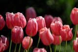 Apr 26