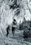Chemin de la Mâture