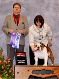 4pt Specialty Major, Breeder Judge Mr. Dean Dickey