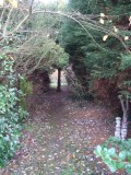 DSC01035 (Large).JPG
