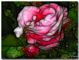 Fractal-Rose.jpg