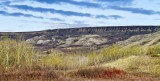 The Buffalo Jump Area