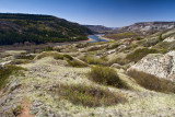 Half Way Down at Dry Island Buffalo Jump