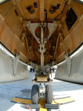 Nosewheel