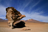 Bolivia - Arbol de Piedra
