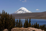 Lago Chungará and Volcán Sajama (6542m)