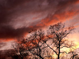 1-23-10 Sunset 1.jpg