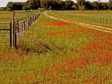 4-24-2010 Fredericksburg 27.jpg