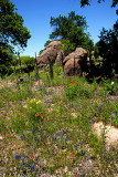 4-25-2010 Mason and Llano TX.jpg