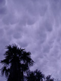 5-14-2010 Mammatus Clouds.jpg