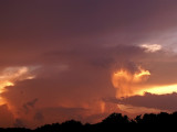 6-7-2010 Sky Lights 5.jpg