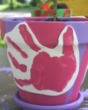 aida's flower pot