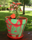 andrew's flower pot
