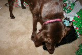 hannah and charlie